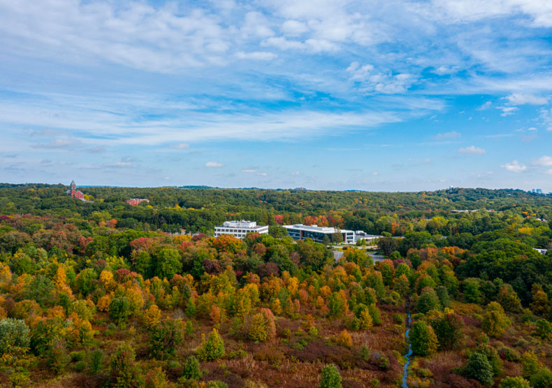 aerial view of land surrounding college building in center of image